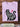 "All You Need Is Love and a Cat” T-Shirt – Persian Cat Edition | Cute Tee for Cat Lovers
